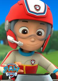 قسمت پانزدهم Pups Save a Hoedown