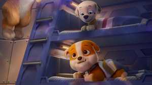 تماشای انیمیشن گشت پنجه ای : فیلم بزرگ PAW Patrol : The Mighty Movie 2023 بسیار جدید با بهترین کیفیت