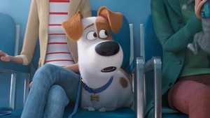 تماشای انیمیشن The Secret Life of Pets 2 با دوبله فارسی کامل