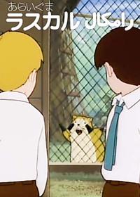 قسمت چهل و ششم