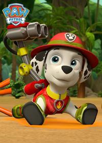 قسمت یازدهم Pups Save the PawPaws