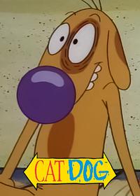 قسمت یازدهم