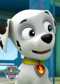 قسمت دوازدهم Pups Get a Rubble