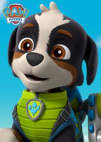 قسمت ششم Dino Rescue Pups and the Lost Dino Eggs