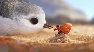 پایپر piper (2016)