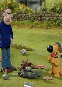 نجات درختان