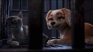 دانلود کارتون گریسی و پدرو : نجات حیوانات خانگی Gracie and Pedro 2024 با دوبله فارسی ژانر ماجراجویانه و کمدی و کیفیت بالا