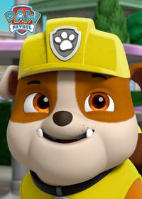 قسمت پنجم Pups Save a Waiter Bot