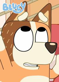 قسمت یازدهم