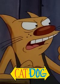 قسمت دوازدهم