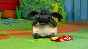 دانلود کارتون تیمی تایم همه قسمت ها با دوبله فارسی