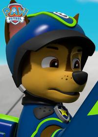 قسمت هشتم Pups Save the Butterflies