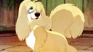بانو و ولگرد Lady and the Tramp (1955)