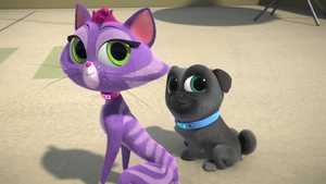 تماشا یا دانلود نسخه دوبله فارسی کارتون ماجراجویانه هاپوهای ماجراجو Puppy Dog Pals به صورت کامل