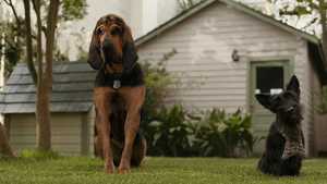 تماشای آنلاین دوبله فارسی کامل فیلم ماجراجویانه بانو و ولگرد Lady and the Tramp با بهترین کیفیت ژانر ماجراجویانه و کمدی و خانوادگی