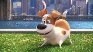 زندگی مخفی حیوانات خانگی The Secret Life of Pets (2016)