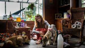 تماشای آنلاین فیلم زبان اصلی گرگ و شیر The Wolf and the Lion با زیرنویس فارسی و کیفیت بالا