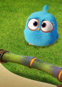 گروه پیک نیک