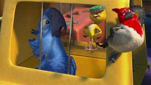 تماشای بهترین کیفیت انیمیشن پرنده ریو 1 Rio همراه با دوبله فارسی و صحنه های خنده دار مناسب تماشای خانوادگی