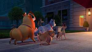 تماشای آنلاین انیمیشن سینمایی اتحادیه حیوانات خانگی Pets United 2019 همراه با دوبله فارسی کامل و کیفیت عالی