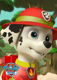 قسمت پانزدهم Tracker Joins the Pups!