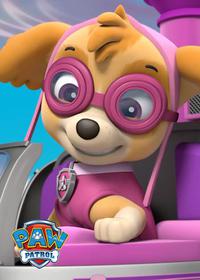 قسمت نوزدهم Pups Get Growing