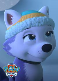 قسمت ششم The New Pup