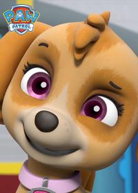 قسمت بیست و چهارم Pups Save Francois the Penguin