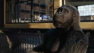 تماشای فیلم The One and Only Ivan 2020 با دوبله فارسی