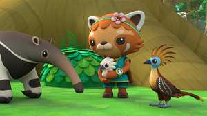 تماشای رایگان قسمت اول تا قسمت آخر کارتون اختانوردها : بالا و فراتر از آن Octonauts : Above & Beyond با دوبله فارسی کامل