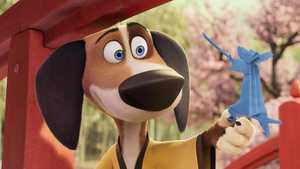 تماشای انیمیشن Paws of Fury: The Legend of Hank 2022 با دوبله فارسی کامل