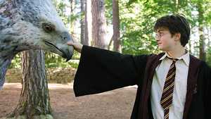 هری پاتر و زندانی آزکابان Harry Potter and the Prisoner of Azkaban (2004)