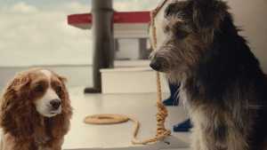 تماشای فیلم سینمایی بانو و ولگرد Lady and the Tramp سال 2019 با دوبله فارسی کامل