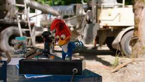 وودی دارکوب Woody Woodpecker (2017)