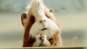 گروه ویژه G-force (2009)