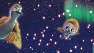 پلوی Flying the Nest (2018)