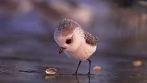 پایپر piper (2016)