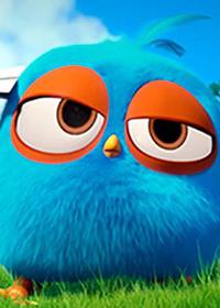 باشگاه مشت زنی