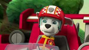 دانلود کیفیت عالی کارتون سینمایی سینمایی سگ های نگهبان : مسابقه نجات Paw Patrol : Ready, Race, Rescue! با بهترین دوبله فارسی مناسب تماشای خانوادگی