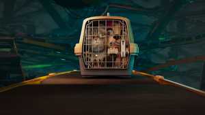 دانلود یا تماشای آنلاین نسخه دوبله فارسی انیمیشن سینمایی ماجراجویانه و خنده دار گریسی و پدرو : گروه نجات حیوانی Gracie and Pedro : Pets to the Rescue 2024