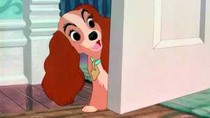 بانو و ولگرد Lady and the Tramp (1955)