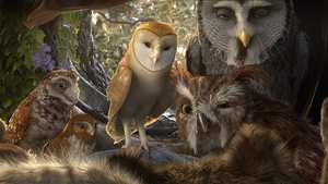 افسانه محافظان: جغدهای گاهول Legend of the Guardians: The Owls of Ga'Hoole (2010)