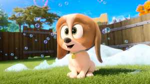 دانلود سریال جدید گردش سگ ها Dog Days Out 2025 بی‌کلام مناسب تماشا به همراه خانواده