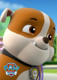 قسمت سوم Pups and the Kitty-Tastrophe