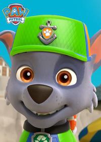 قسمت چهارم Sea Patrol Pups Save a Sunken Sloop