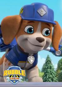 قسمت بیست و نهم