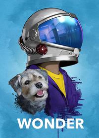 شگفت انگیز Wonder