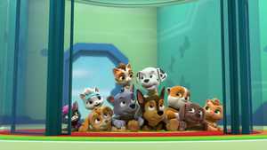 دانلود کارتون گربه پک : رویداد اختصاصی سگ های نگهبان با دوبله فارسی کامل