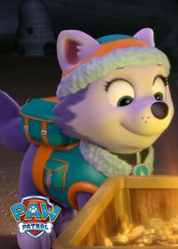 قسمت نوزدهم Pups Save the Mayor's Race