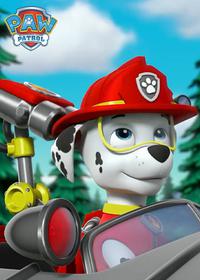 قسمت نهم Pups Save the Bookmobile